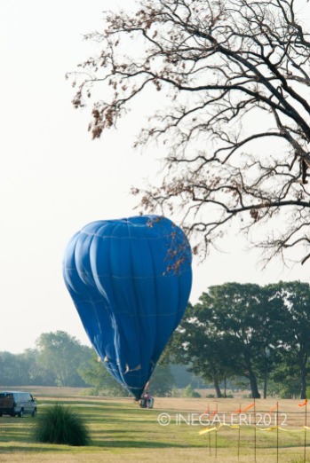 Balloon Fest | 19 May 2012-1