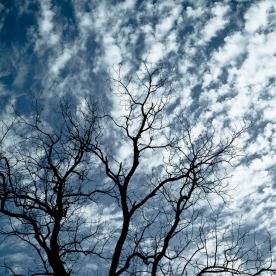 Leap Year Day Sky | February 2012-10