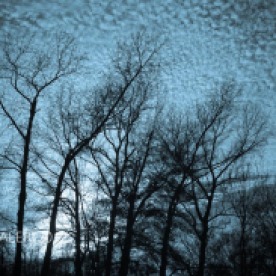 Leap Year Day Sky | February 2012-15
