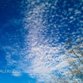 Leap Year Day Sky | February 2012-18
