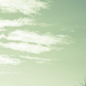 Leap Year Day Sky | February 2012-7